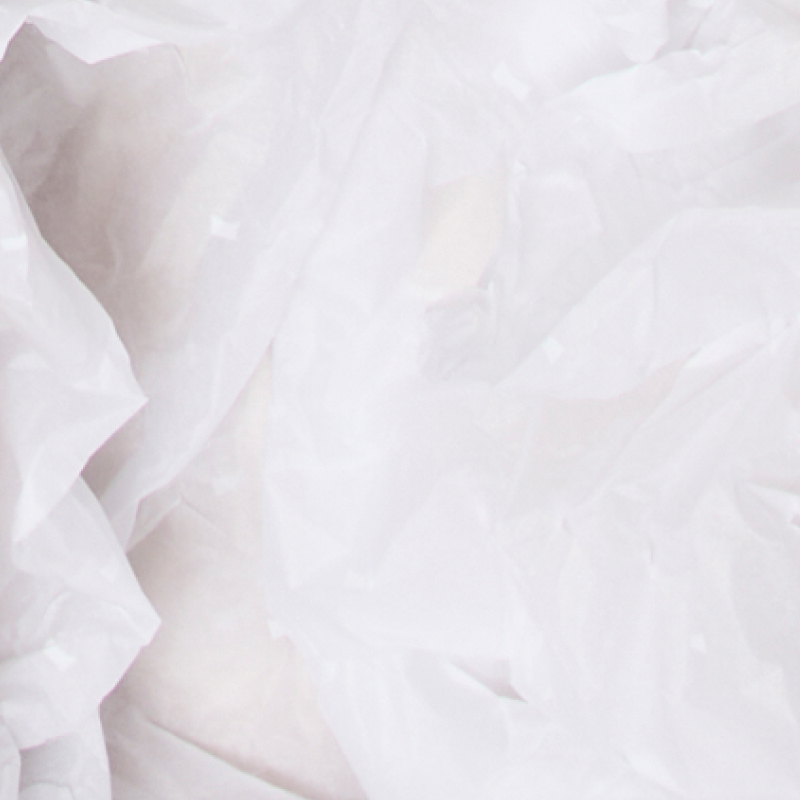 Black Friday Early Access