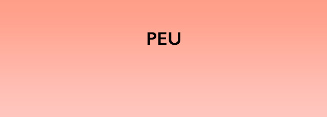 Camper ONE Pelotas banner